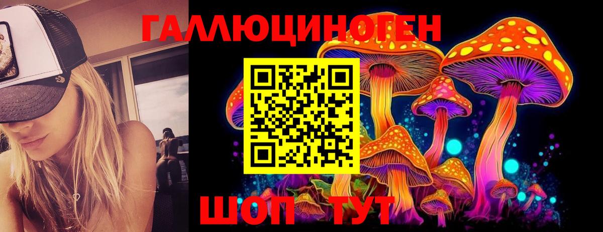 Псилоцибиновые грибы Psilocybine cubensis  Вход с VPN  Богородск 
