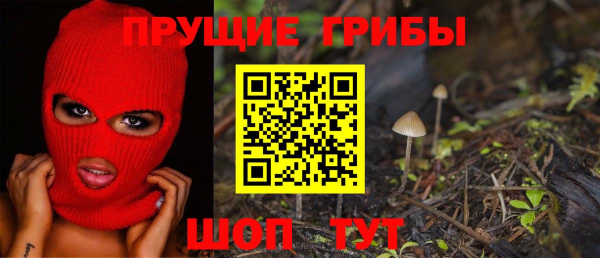 Галлюциногенные грибы MAGIC MUSHROOMS Богородск